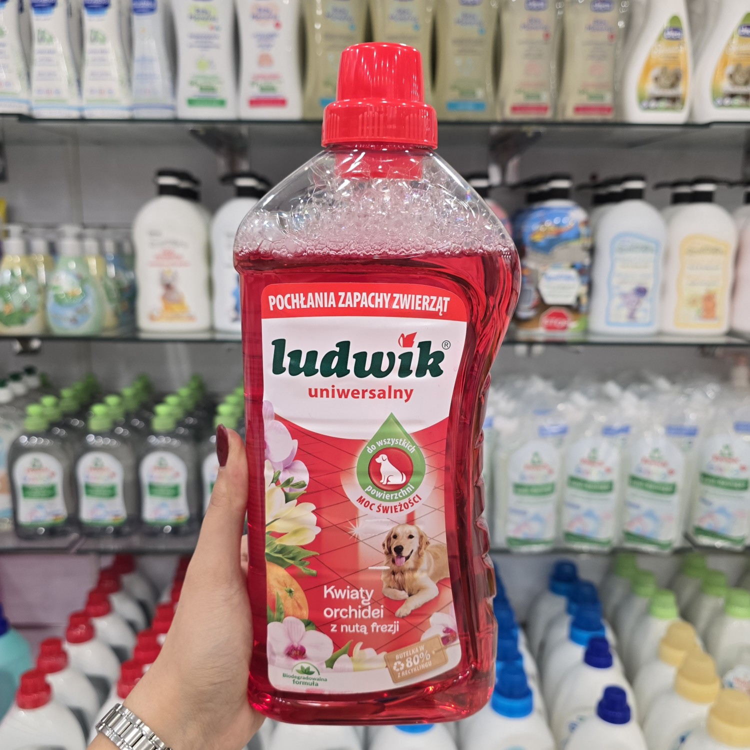 مایع تمیز کننده چندمنظوره لودویک Ludwik با کنترل بوی حیوانات خانگی