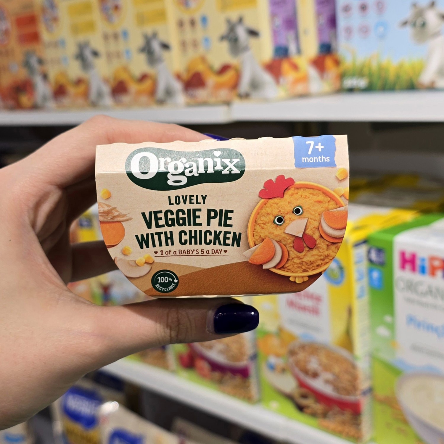 غذای آماده اورگانیکس Organix