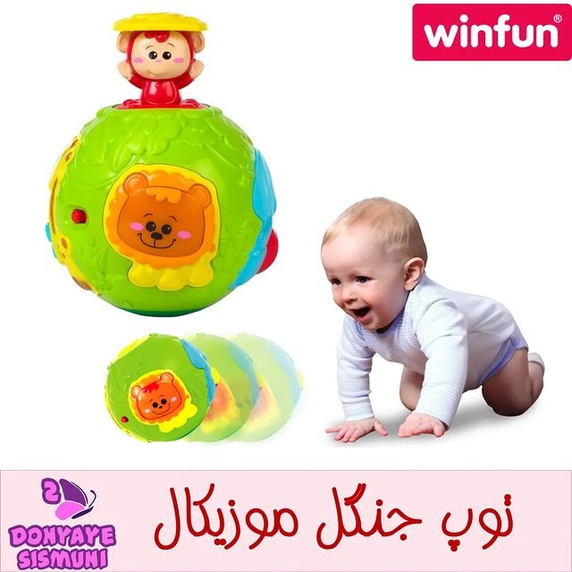 توپ جنگل وین فان winfun
