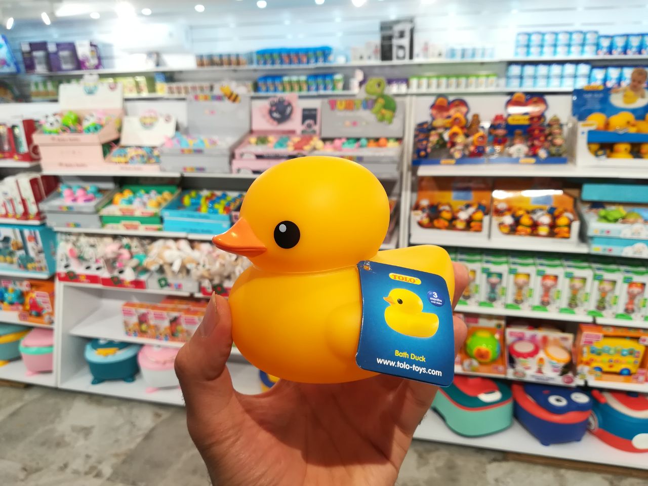 اردک وان نارنجی تولو Tolo سایز بزرگ