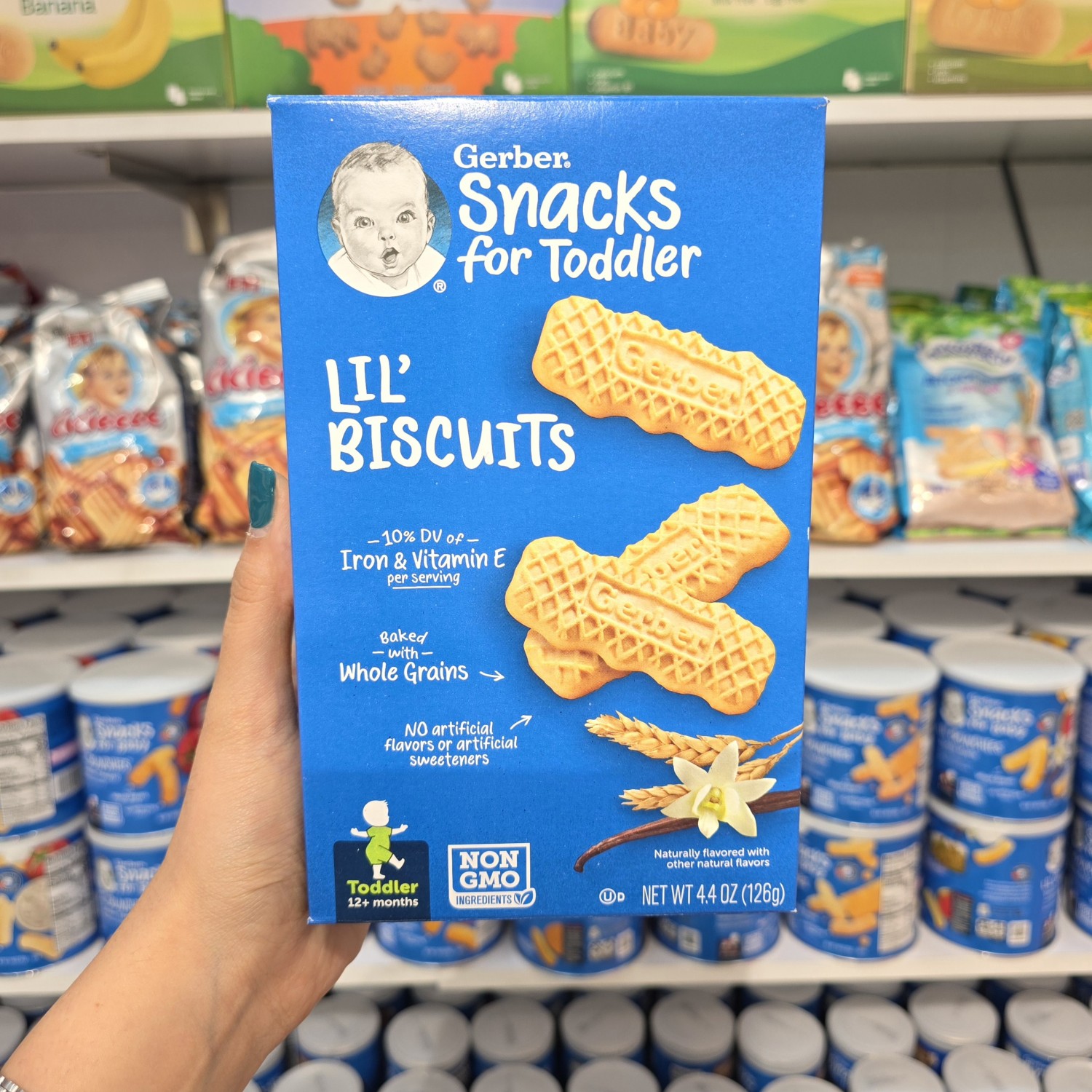 بیسکوییت گندم لیل گربر Gerber