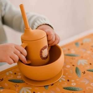 لیوان آموزشی نی دار سیلیکونی ساسی Sassi