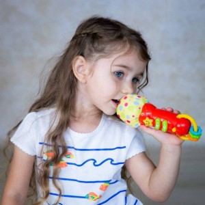 جغجغه میکروفون وین فان Winfun