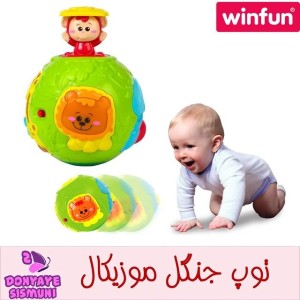 توپ جنگل وین فان winfun