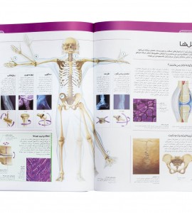 مشخصات کتاب دایره المعارف مصور بدن انسان