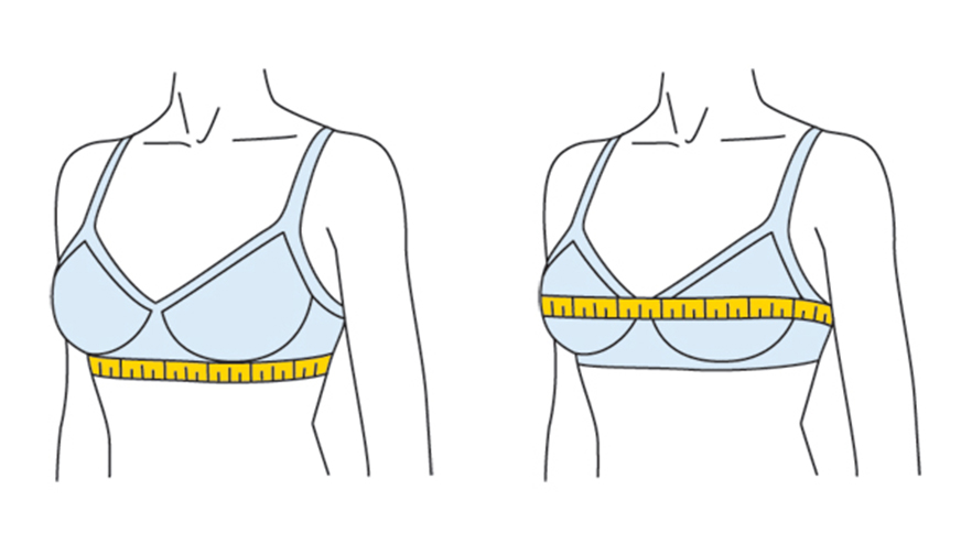 راهنمای اندازه های مختلف سوتین و سایزبندی آن از زیر سینه و روی سینه