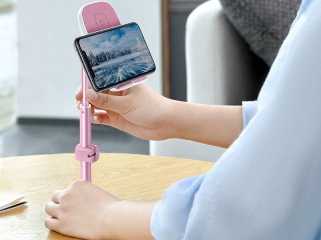 پایه نگهدارنده و شارژر وایرلس بیسوس مدل Literary Youth Desktop Bracket SUWY-D0S