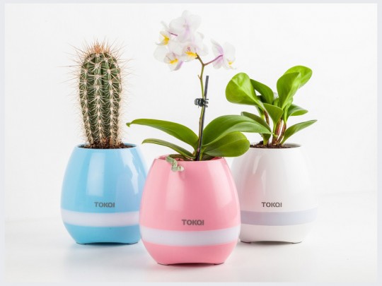 اسپیکر بلوتوث و گلدان موزیکال دیتاکی