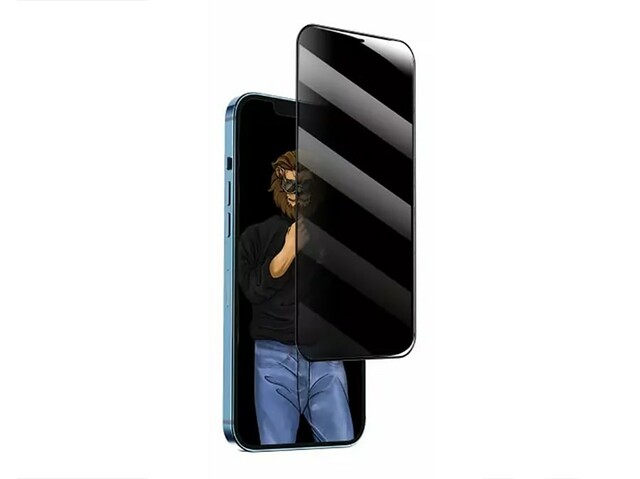 محافظ صفحه نمایش شیشه ای حریم شخصی آیفون 12 و 12 پرو گرین Green iPhone 12/12 Pro 9H Steve Privacy Anti-Peeping Full Glass