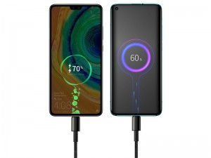 کابل فست شارژ دو سر تایپ سی بیسوس مدل Tungsten Gold Fast Charging Data Cable 100W CATWJ-A01 به طول 2 متر