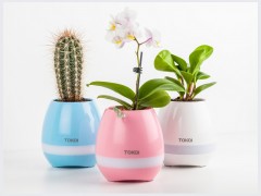 اسپیکر بلوتوث و گلدان موزیکال دیتاکی