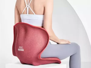 پشتی بالشتک صندلی قابل حمل شیائومی مدل Youpin Portable Seat Cushion Protection LB-HS003