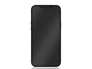 محافظ صفحه نمایش شیشه ای مات حریم شخصی آیفون 12 مینی گرین Green iPhone 12 mini 2.5D Privacy+ Matte Glass