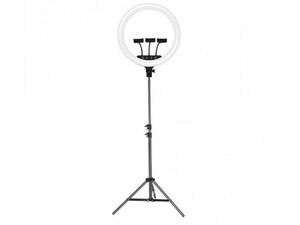 رینگ لایت سه پایه دار جویروم Joyroom 18inch Ring Light JR-ZS228-AKL05
