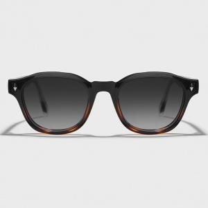 عینک آفتابی پلاریزه آلبرت وگ مدل Sz-8108-C2-Blc-Leo Acetate