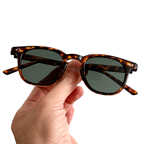 عینک آفتابی مدل Zn-3531-Leo