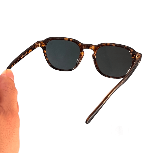 عینک آفتابی مدل Z-3397-Leo