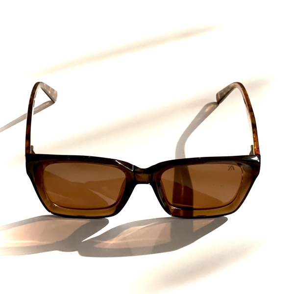 عینک آفتابی پلاریزه مدل Fg-6016-Brn