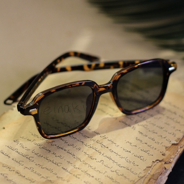 عینک آفتابی مدل Z-3602-C1-Leo