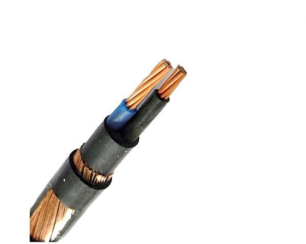 کابل سازمانی 10+10*1 nycy البرز الکتریک نور (لینکو)