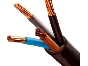 کابل مفتول NYY 4*2/5 البرز الکتریک نور (لینکو)