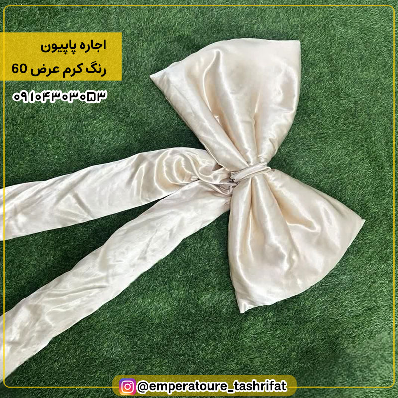 اجاره پاپیون کرم عرض 60