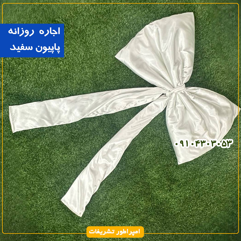 اجاره پاپیون  سفید (کوچک)