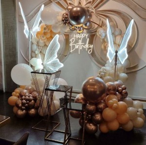 تم بادکنک آرایی  پروانه رنگ نود