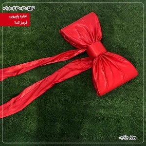 اجاره پاپیون مشکی 05