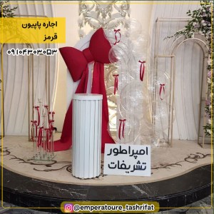 اجاره پاپیون صورتی کد 1
