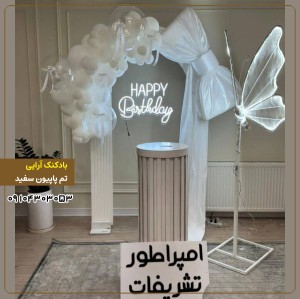 بادکنک آرایی تم پاپیون سفید 