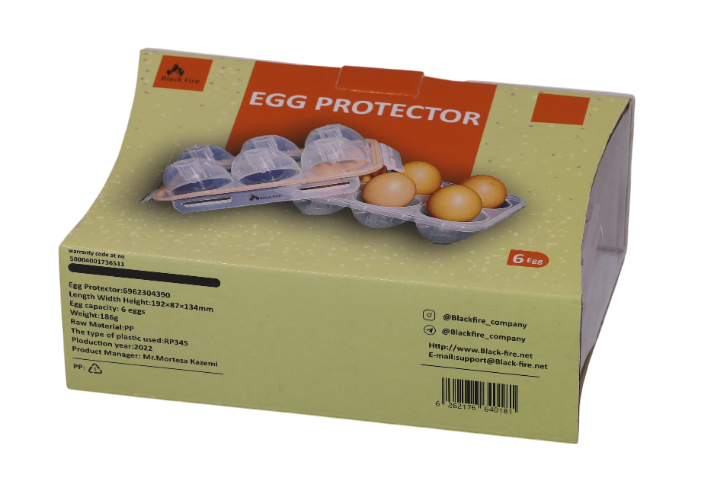 جاتخم مرغی 6 تایی