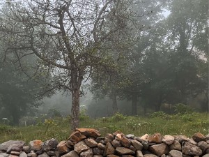 طبیعت گردی در روستای الیت