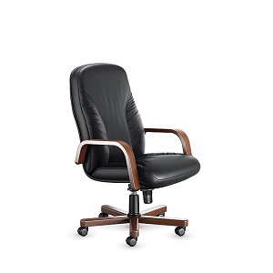 صندلی  کارشناسی اروند مدل  2016