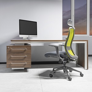 صندلی  مدیریتی اروند مدل  1714