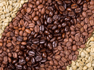 آشنایی با انواع دان قهوه