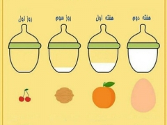 از میزان حجم معده نوزادان در هفته های نخست پس از تولد چه می دانید؟ (مطلب)