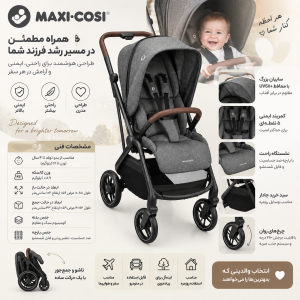 کالسکه مسافرتی مکسی کوزی مدل Maxicosi Leona2