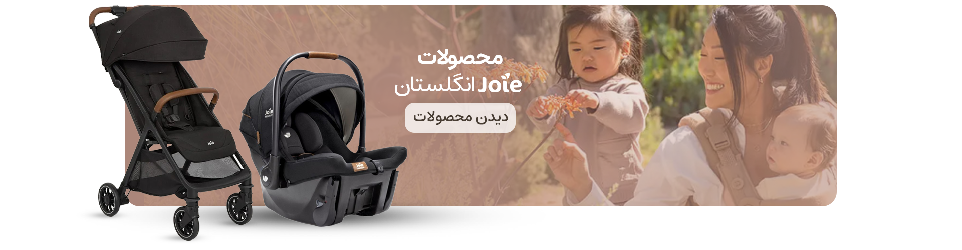 محصولات جویی
