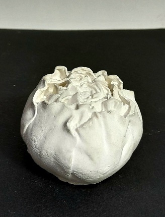 قالب سیلیکونی  گل  پیونی