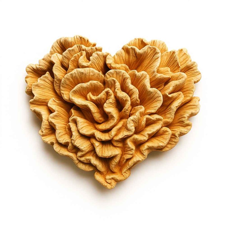 قالب سیلیکونی  قلب الاله 6 سانت