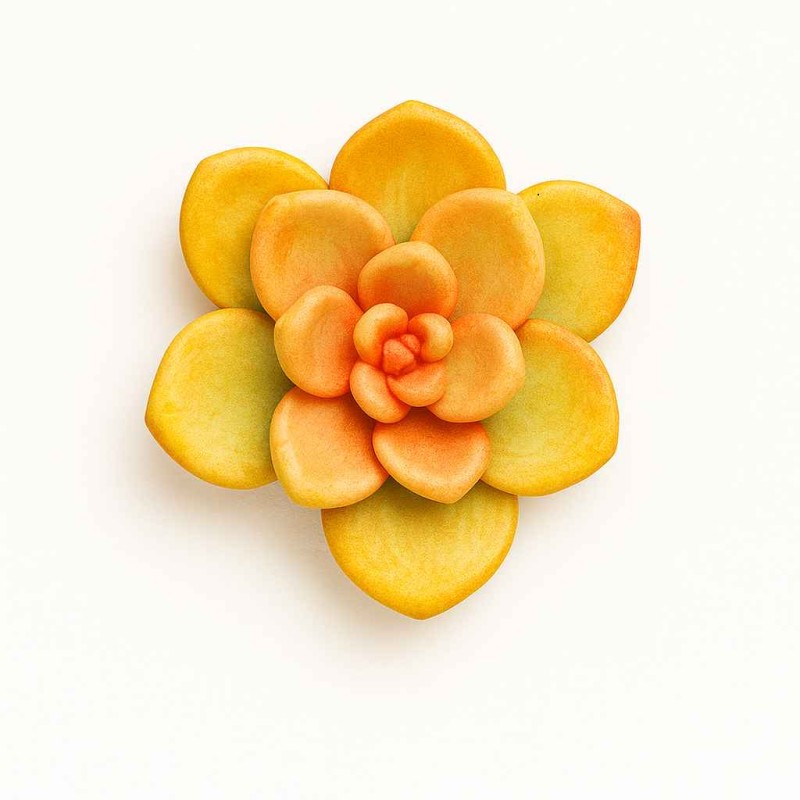 قالب سیلیکونی  'سنگ مصنوعی  ,و رزین اپوکسی و شمع سازی  کاکتوس 22