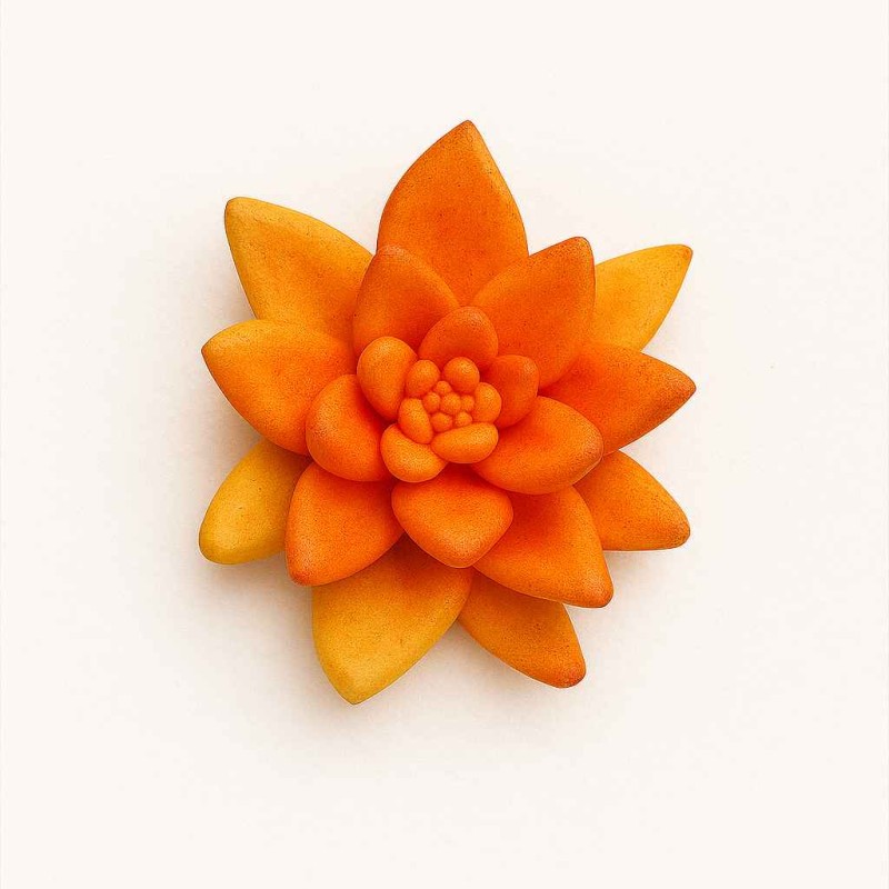 قالب سیلیکونی  'سنگ مصنوعی و رزین  و شمع سازی  کاتکتوس 11