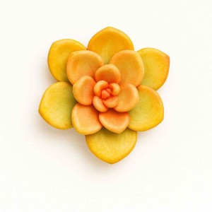 قالب سیلیکونی  'سنگ مصنوعی  ,و رزین اپوکسی و شمع سازی  کاکتوس 22