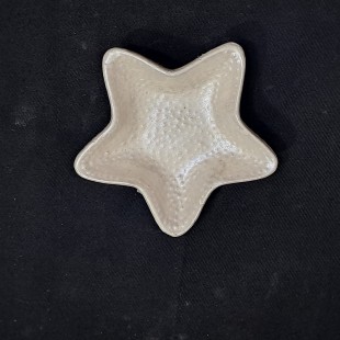 قالب سیلیکونی سنگ مصوعی( رزین)  ستاره دریایی