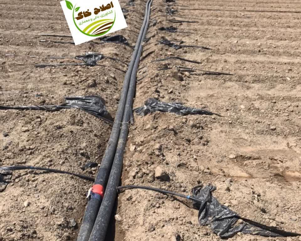 طراحی واجرای سیستم آبیاری قطره ای