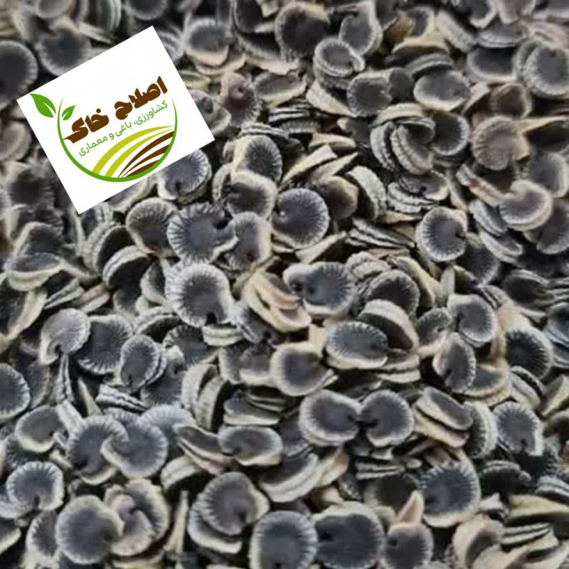 بذر گیاهان داروی وبذر صیفی جات وسبزی جات