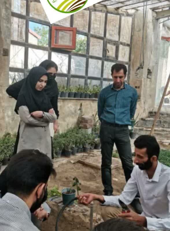 آموزش کشت آنلاین .حضوری