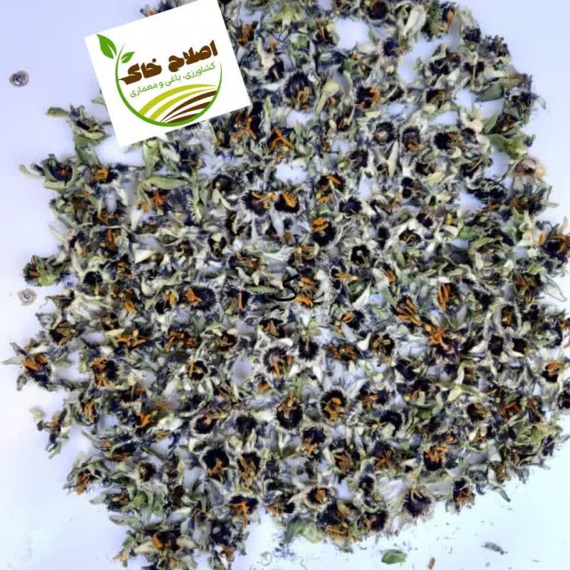 گیاهان دارویی