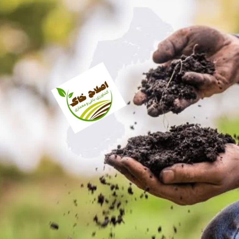 مشاوره وراهنمایی